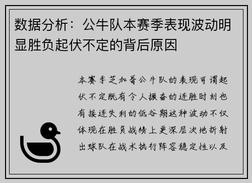 数据分析：公牛队本赛季表现波动明显胜负起伏不定的背后原因